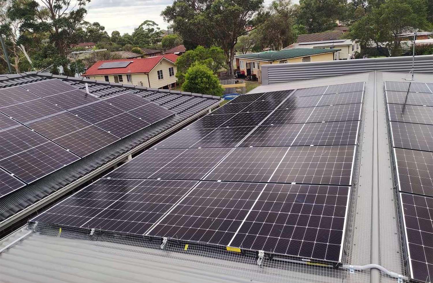 Preventing Bird Damage to Your Solar Panels: A Guide to Solar Panel Bird Proofing in Sydney