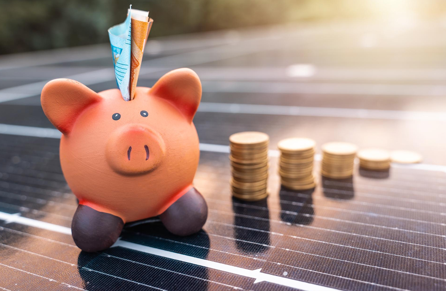 Is Investing in Solar Panels Worth the Cost in 2024?